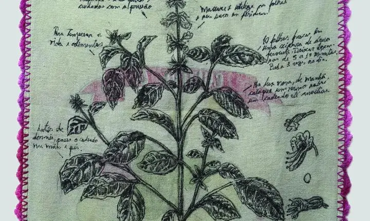 Exposição “Herbário do Cuidar, Vingar e Refazer”, de Diogo Nógue, propõe uma arte afrocentrada a partir da Sankofa, e práticas de cuidado como homem negro